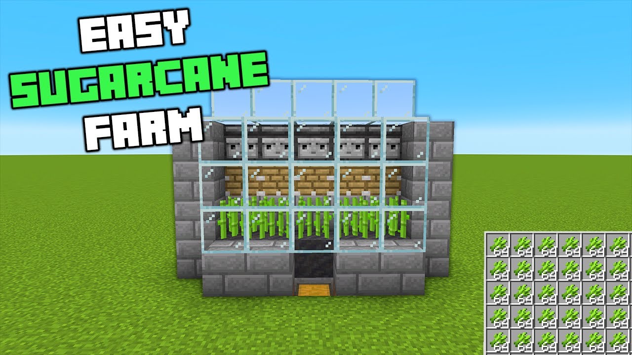 Sugar Cane Farm